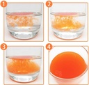 Haematococcus pluvialis Extrait astaxanthine (ASTA) Poudre microcapsule 2,5 % CLHP, SCF instantanée, 1000 grammes (35 oz.)