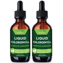 Nouvelles gouttes liquides de chlorophylle d'AGE - Concentré naturel – Supports du système de stimulation de l'énergie, de digestion et d'immunité, désodorisant interne, fonction hépatique - (2 Fl Oz (paquet de 2))