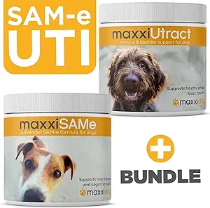 maxxipaws SAM-e UTI Bundle – maxxiSAMe Advanced SAM-e Support pour chiens et maxxiUtract Canine Urinaire et Supplément Bladder