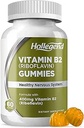 Vitamine B2 Gummies Riboflavine 400mg, B2 Vitamine Supplément à croquer, Vegan, Non OGM, Arôme orange, 60 Nombre