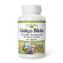 HerbalFactors by Natural Factors, Ginkgo Biloba, soutient la mémoire, la performance mentale et la fonction cérébrale saine, 60 capsules (60 portions)