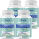 Probiotiques pour les femmes et les hommes, 300 milliards CFU 24 souches Probiotiques + 15 herbes biologiques Mélange de prébiotiques, étagère Stable Gut Supplément de santé pour l'immunité digestive et la santé du corps entier, 8 mois d'approvisionnement