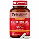 Carbamide Forte Berberis Berberine 95% with Milk Thistle & Cinnamon | Berberine Capsules 500 mg | 60 Veg Capsule