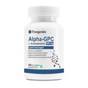 Trexgenics ALPHA-GPC 300 mg L-α-Glycerophosphorylcholine Cognitive Function, Brain Health Support (30 Veg Capsules)