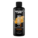 BeastLife L-Carnitine Liquid | 1100mg (Orange Flavour, 450 ml, 30 Servings) Converts Fat to Energy | Supports Weight Loss & Fat Burn | With Vitamin B5 | No Added Sugar