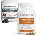 Véritables champignons Cordyceps pour les humains (120ct) & Champignon Immune Animaux Chews (60ct) - Ensemble pour l'énergie, la vitalité et l'immunité - Ashwagandha, Astragalus & More - Vegan, Non-OGM, Sans gluten, Sans céréales