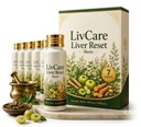 LivCare Liver Reset Shots | Herbal Daily Wellness Liquid | Botanical Wellness Shot | Easy-to-Drink Formula | Daily Lifestyle Support | Convenient Herbal Wellness Shot for Adults