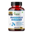 Humming Herbs Rhodiola Rosea | 4in1 | 90 Caps | 1900mg Eq | with Red Korean, Siberian and American Ginseng Root Extract | Stress and Anxiety Relief Supplements