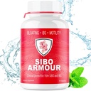 SIBO (traitement de grade clinique) Bloading, Diarrhée, Gut de fuite, Gaz.