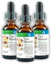 Morter Trace Minerals in Colloïdal Suspension (3 Pack) Morter HealthSystem Best Process Alkaline — Nutrient Dense Trace Elements, Fulvic Minerals & Amino Acides