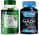 Supplément NAD WELLNESS LABSRX, 1500mg - Gommies de mousse de mer, 3200mg