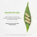 Secrets de la Tribe Thyme 120 Capsules, faites avec des capsules végétales et Thymus Vulgaris Toni Effet (120 Capsules)