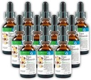 Morter Trace Minerals in Colloïdal Suspension (12 Pack) Morter HealthSystem Meilleur procédé Alkaline — Éléments de traces denses nutritifs, minéraux fulvic et acides aminés