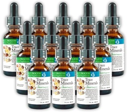 Morter Trace Minerals in Colloïdal Suspension (12 Pack) Morter HealthSystem Meilleur procédé Alkaline — Éléments de traces denses nutritifs, minéraux fulvic et acides aminés