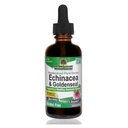 La réponse de la nature Enchinacea & Goldseal est un système immunitaire sain.