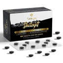 30 000 comprimés Shilajit MG, 100 % Shilajit comprimés purs pour les femmes et les hommes, Himalaya Organic, Fulvic Acid & 85+ Trace Minerals, Supplément résine pour l'énergie et système immunitaire, 60 comtes