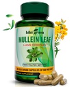 KIKI Green Mullein Leaf Extract Capsules - Supplément végétalien à base de plantes - pour le nettoyage pulmonaire, le soutien, une meilleure fonction respiratoire, immunitaire - 1000mg 45 portions - 90 Compte