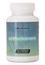 Extrait d'Ecklonia Cava - 99% Pureté - 50% Polyphénols - 320mg par jour, 60 Capsules