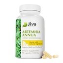Jiva Botanicals Artemisia Annua Sweet Wormwood Capsules - Supports Système immunitaire et santé normale du foie - Fabriqué aux États-Unis - 90 Capsules