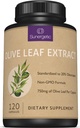 Capsules Premium Olive Leaf – Standardisées à 20% Oleuropein – Super Strength Olive Leaf Exact Supplément soutient le système immunitaire et la santé cardiovasculaire – 750mg Par Capsule – 120 Capsules
