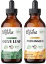 Teinture de feuille d'olive sauvage et biologique 4 fl oz et Astragalus Teinture 4 fl oz