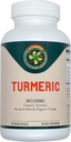 Carnivora Turmeric – Soutien aux articulations et à la santé digestive (90 capsules véganes)