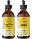 HERBAMAMA Kit de gouttes liquides à base de plantes - Ensemble de racine de dandelion et de teinture de feuille de Mullein 4 fl oz - végétalien, non-OGM, sans sucre et sans alcool - 2 packs
