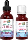 MaryRuth Organics Probiotic Digestion (framboise) pour les femmes 40+ & gouttes de mousse de mer.