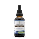 Secrets de la tribu Tribulus Teinture Extrait sans alcool, gouttes d'herbe à haute puissance, Teinture faite de la dinde sauvage Tail (Trametes Versicolor) Champignon séché 2 oz