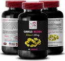 Supplément Ginkgo biloba - Extrait Ginkgo BILOBA - Extrait antioxydant naturel, Support antioxydant à base de plantes, Avantages Ginkgo biloba, Supplément extrait botanique, Antioxydant à base de plantes 1 Bot 60 Caps