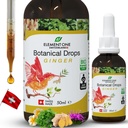 Drops botaniques naturels – Gingembre et enzymes digestives dans une formule organique pour le bien-être complet, soutenir le système immunitaire, promouvoir le soulagement de l'inflammation et améliorer la circulation sanguine (50ml)