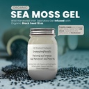 Ashwagandha Mango Sea Moss Gel Bio Fresh Fruits infusés Wild Harvested Irish Sea Moss Gel.