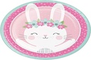 Fournitures de groupe de conversion créative, Plaques de soirée de lapin, Dîner en assiette, Multicolore, 8.75", 8ct