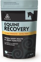 Acide hyaluronique équin de PURICA - Supplément de soutien articulaire pour chevaux avec la glucosamine, la poudre MSM, la bétaïne, le magnésium, la vitamine C et l'E - Extrait de thé vert et de graines de raisin - Approvisionnements et traites pour chevaux