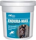 Kentucky Performance Endura-Max Supplément électrolyte pour chevaux, 5 livres