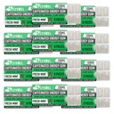 LyvWel Energy Gum (100mg de caféine par gemme) All Natural (Mint- 12 pack)