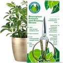 Ciseaux maison premium 100% acier inoxydable, Clippers de jardin ultra-précises pour la propagation et le trimming
