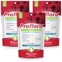 Proflora Probiotic Soft Chews pour chiens - Vétérinaire-Strength Probiotic quotidien - Digestion Health - Boost Imune System - Peau et Coat Health - 180 Soft Chews