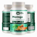 Comprimés Moringa avec Turmeric et Ginger, 300 pilules, 5 mois d'approvisionnement, 150 portions, 1000 Mg par portion. Une gélule avec des avantages multiples - Soutient la santé digestive (paquet de 1)