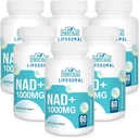 Supplément NAD+ liposomale 1000 mg de NAD le plus élevé Pontecy de NAD
