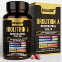 9-en-1 Urolithine Un supplément pour les femmes Anti-Aging 1000mg: Capsules antioxydantes avec Trans-Resveratrol et CoQ10 - USA Lab Verified Support Vieillissement en santé et renouvellement cellulaire