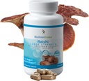MushroomScience Reishi Mushroom Capsules, Extrait de spectre complet Super-force, Supplément de champignons naturels pour adultes, Mushrooms extraits d'eau chaude, Soutien sanitaire, Végétarien, 400MG, 90 CT