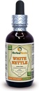 Herbal Terra LLC White Nettle (Album de calcium) Teinture, feuilles séchées Extrait liquide 2 oz