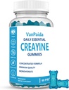 Gommies de créatine Monohydraté, Monohydrate de créatine à croquer, Boost musculaire, Boost énergétique, Supplément pré-entraînement, Burstes améliorées, Vegan, Soutien de la croissance musculaire, Récupération et performance, Sans gluten