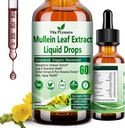 Gouttes de Mullein pour les poumons, extrait de feuille de Mullein biologique pour désintoxication pulmonaire w. Chlorophylle Elderberry Oregano Oil Resvératrol Teinture de Mullein sans alcool, saveur originale, 2 f Fl/Oz