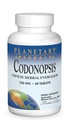 Comprimés de codonopsis à base de plantes planétaires, 750 mg, 60 Nombre