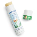 Badger Bug Bite Relief Stick, Crème naturelle et organique anti-démangeaison pour les morses de Bug, Rashes & Poison Ivy, Fast Itchy Skin Relief après la morsure, fonctionne bien, sent bon, facile à utiliser, .6 oz