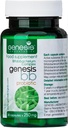Genesis LABORATORIES Supplément probiotique avec Bifidobacterium spp. 250 mg 30 Capsules Immune Support Gut Health Probiotics for Digestive Health Anti Bloating for Men and Women Gut Restore Probiotic