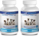 remèdes naturels contre l'incontinence urinaire chez le chien - SOUTIEN AUX TRACTS URINAIRES DOG - SOLUTION DE CRANBERRY NATUREL - SANTE BLADDER - VET RECOMMANDÉ - supplément en soie de maïs pour chiens - 2 bouteilles (180 traités)