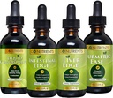 Go Nutrients Digestion & Detox Bundle – Chlorophylle liquide, bord du foie, bord intestinal, l'aisance curcuma – soutient le nettoyage, la digestion, la santé du foie et la défense du corps, revitaliser la peau et la vitalité
